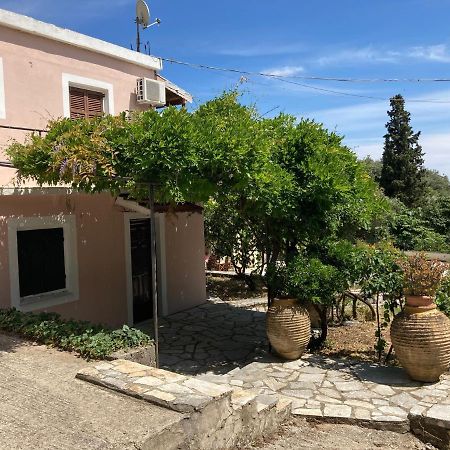 Aliki'S Comfortable Holiday Apartments-Great Location Nisaki  외부 사진