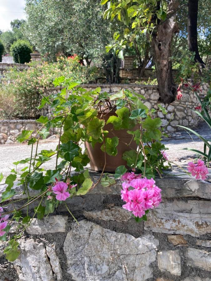 Aliki'S Comfortable Holiday Apartments-Great Location Nisaki  외부 사진