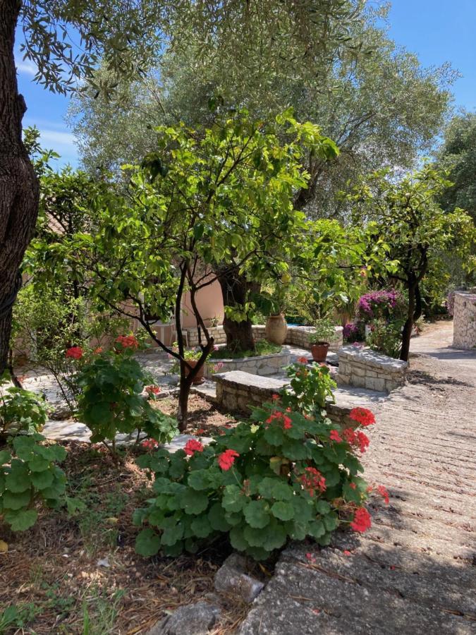Aliki'S Comfortable Holiday Apartments-Great Location Nisaki  외부 사진