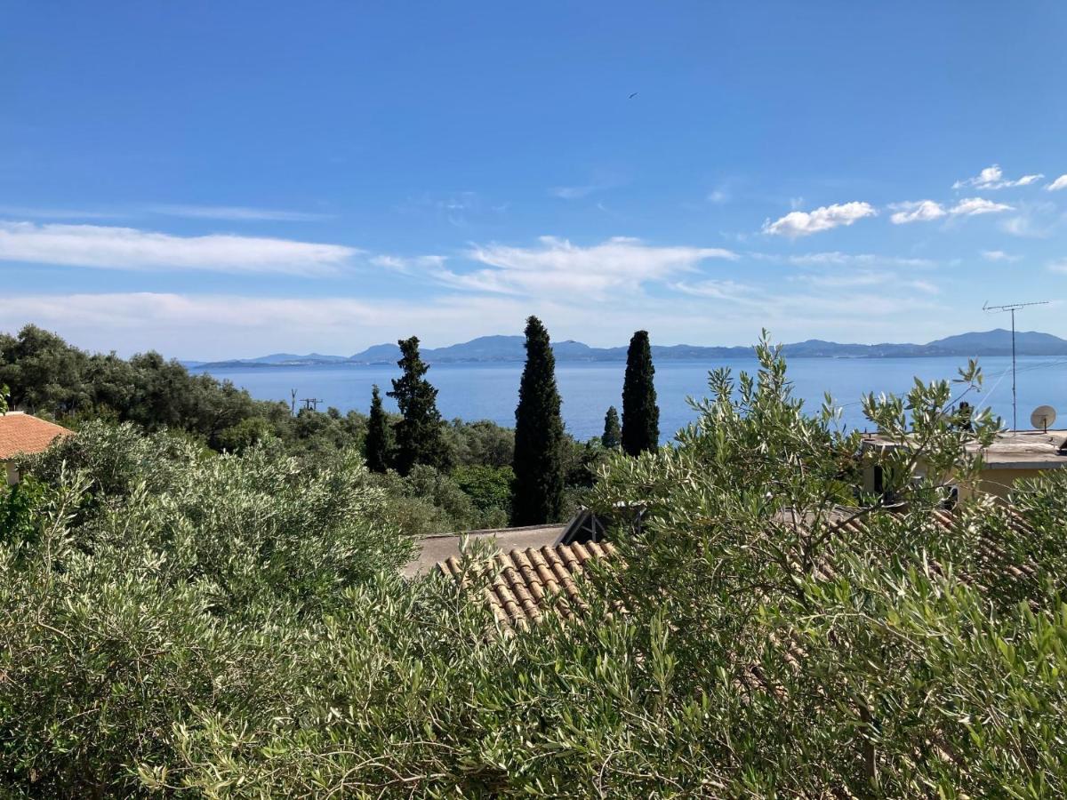 Aliki'S Comfortable Holiday Apartments-Great Location Nisaki  외부 사진