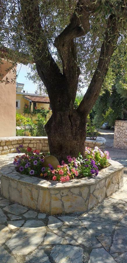 Aliki'S Comfortable Holiday Apartments-Great Location Nisaki  외부 사진